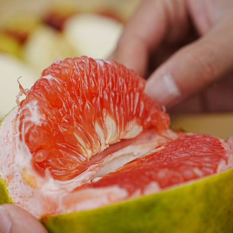 福建漳州蜜麒麟糖嫣宝石柚红肉国产西柚青皮葡萄柚新品种柚子包邮