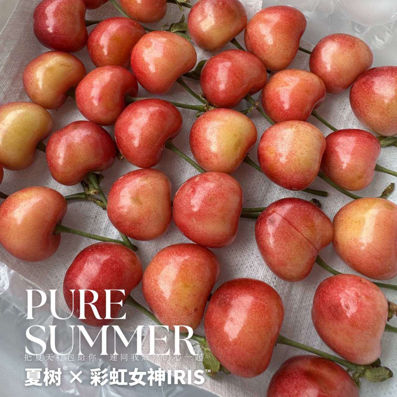彩虹女神iris粉红车厘子新鲜水果当季国产黄金车厘子樱桃整箱包邮