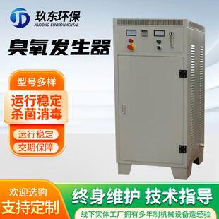 中小型臭氧发生器厂家定制工业级水处理臭氧机空气源氧气源臭氧