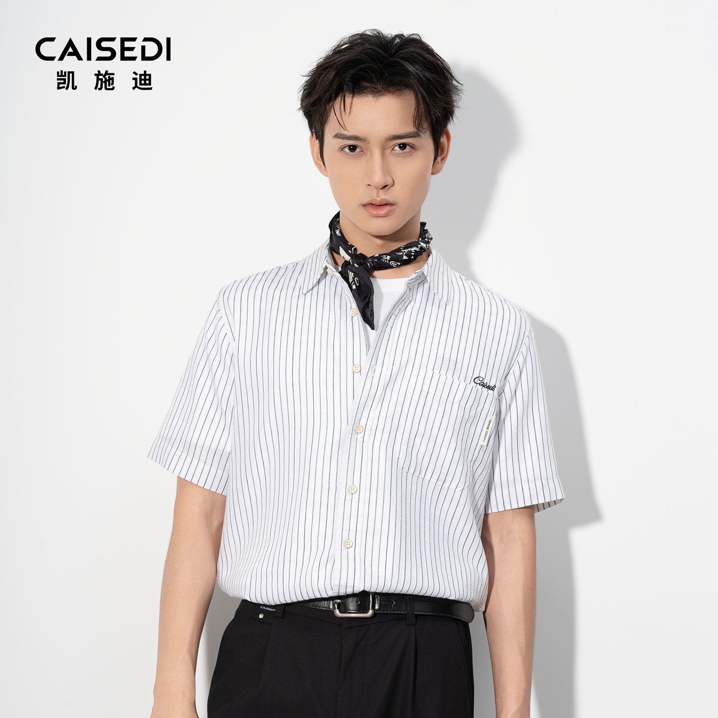 凯施迪商务条纹短袖翻领衬衫男士