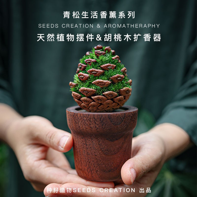 种籽造物青松香薰摆件创意礼盒家用室内客厅桌面茶几植物扩香木