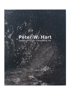 熙思装饰书艺术油画样板间饰品书样板房茶几书房书柜真书装饰