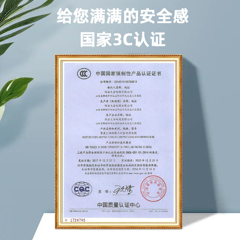 阳谷电线平方铜线家装家用铜线单米线缆