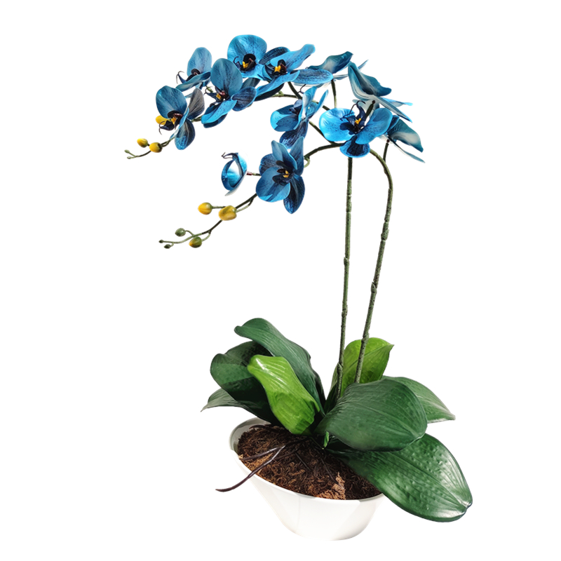 和家pu全手感大蝴蝶兰仿真花白瓷花盆套装书桌茶几窗台摆件假花盆