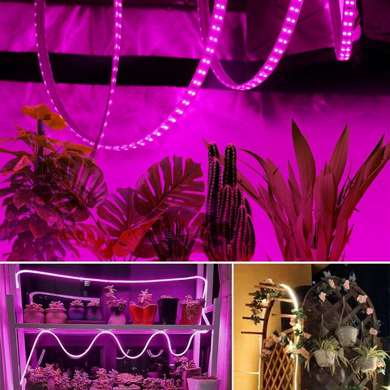全光谱ld补光灯带多肉上色卉绿植果蔬菜育苗生长灯仿太阳,家装灯饰光源,植物生长灯,淘宝优惠券,粉丝福利购,淘宝优惠卷