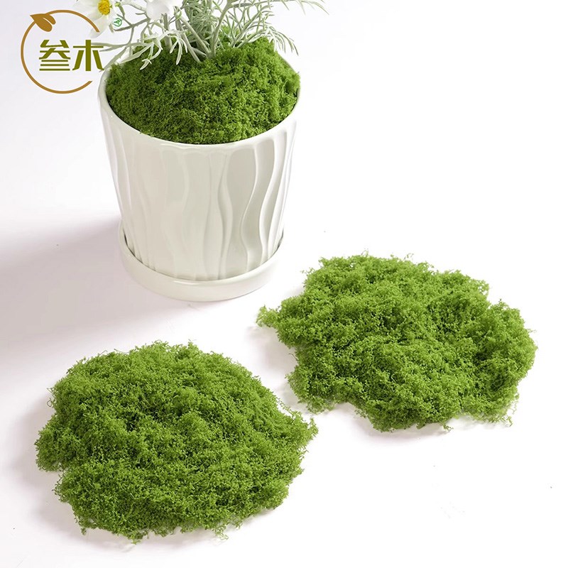 仿真苔藓造景假青苔毛线草皮绿植微景观植物装饰人造仿生草坪石头