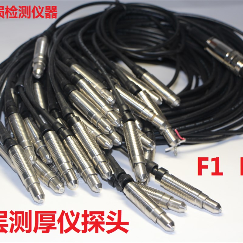 TT20时代涂层测厚仪F1 N1 F0 N0 F10 F1/90探头基体校准片