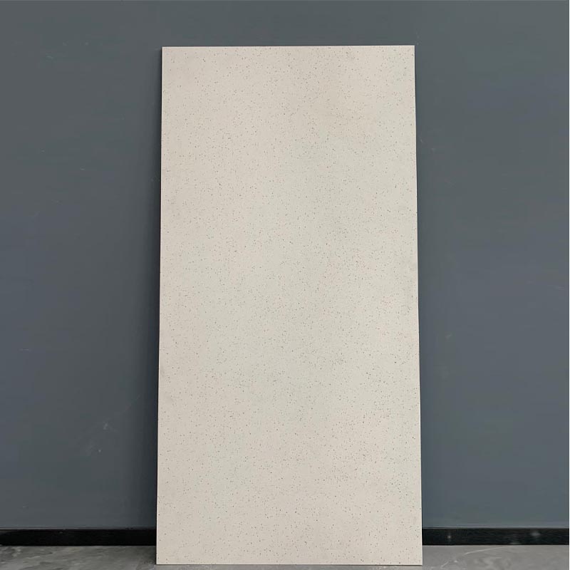 水磨石哑光e瓷砖750X1500客厅卧室阳台防滑防磨地砖现简约风