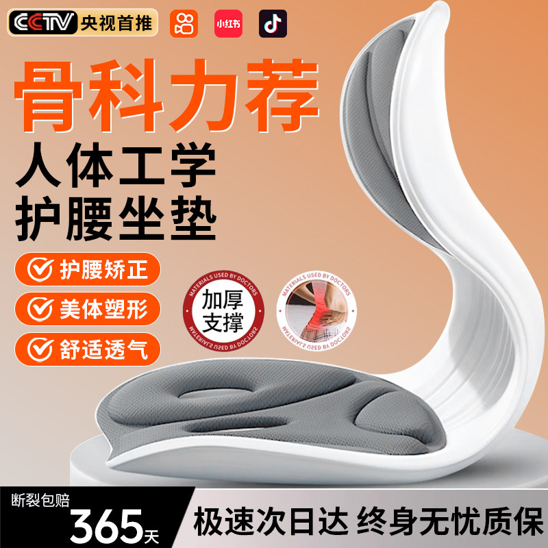 人体工学护腰坐垫座椅坐姿椅脊椎腰托靠垫一体办公室久坐不累神器,居家布艺,腰靠垫,淘宝优惠券,粉丝福利购,淘宝优惠卷