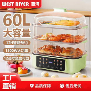 59升蒸煮一体大容量家用电蒸锅蒸笼家用上蒸下煮智能预约蒸箱方型