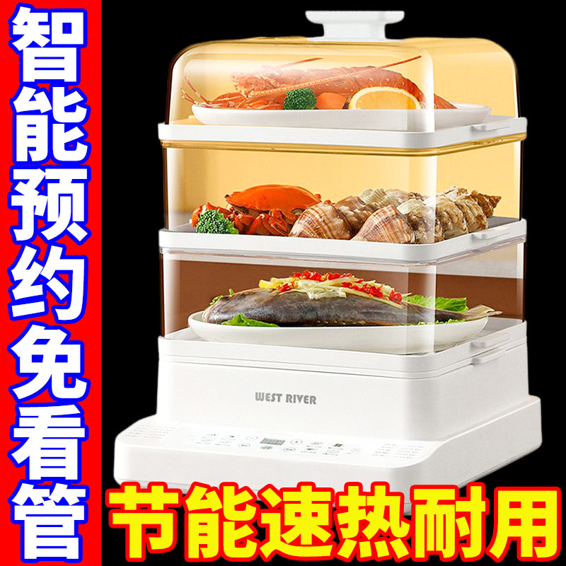 德国电蒸锅内置加水家用大容量多功能蒸煮一体全自动电蒸箱早餐机