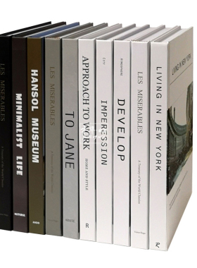 样板房装饰真书黑白灰外文书别墅书房书架陈列静物拍照摄影书