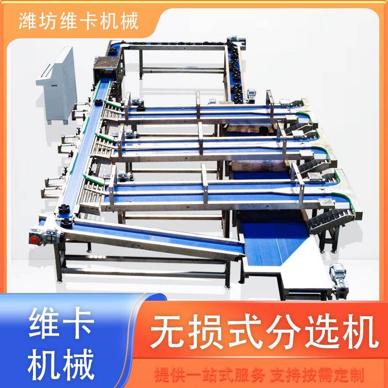 无损选果机磨盘柿子称重分选机水果零损伤重量分级机厂家直销