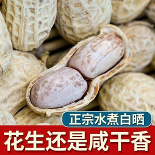 新货特产水煮白晒咸干花生带壳花生米坚果炒货熟年货零食坚果批发