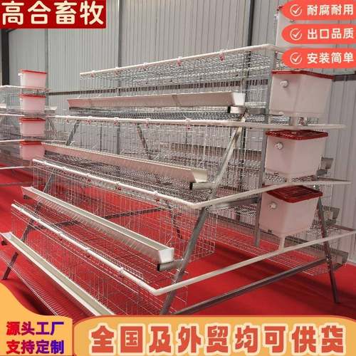 四层五门蛋鸡笼鸡笼镀锌笼三层四层阶梯蛋鸡笼工厂直供可供外贸