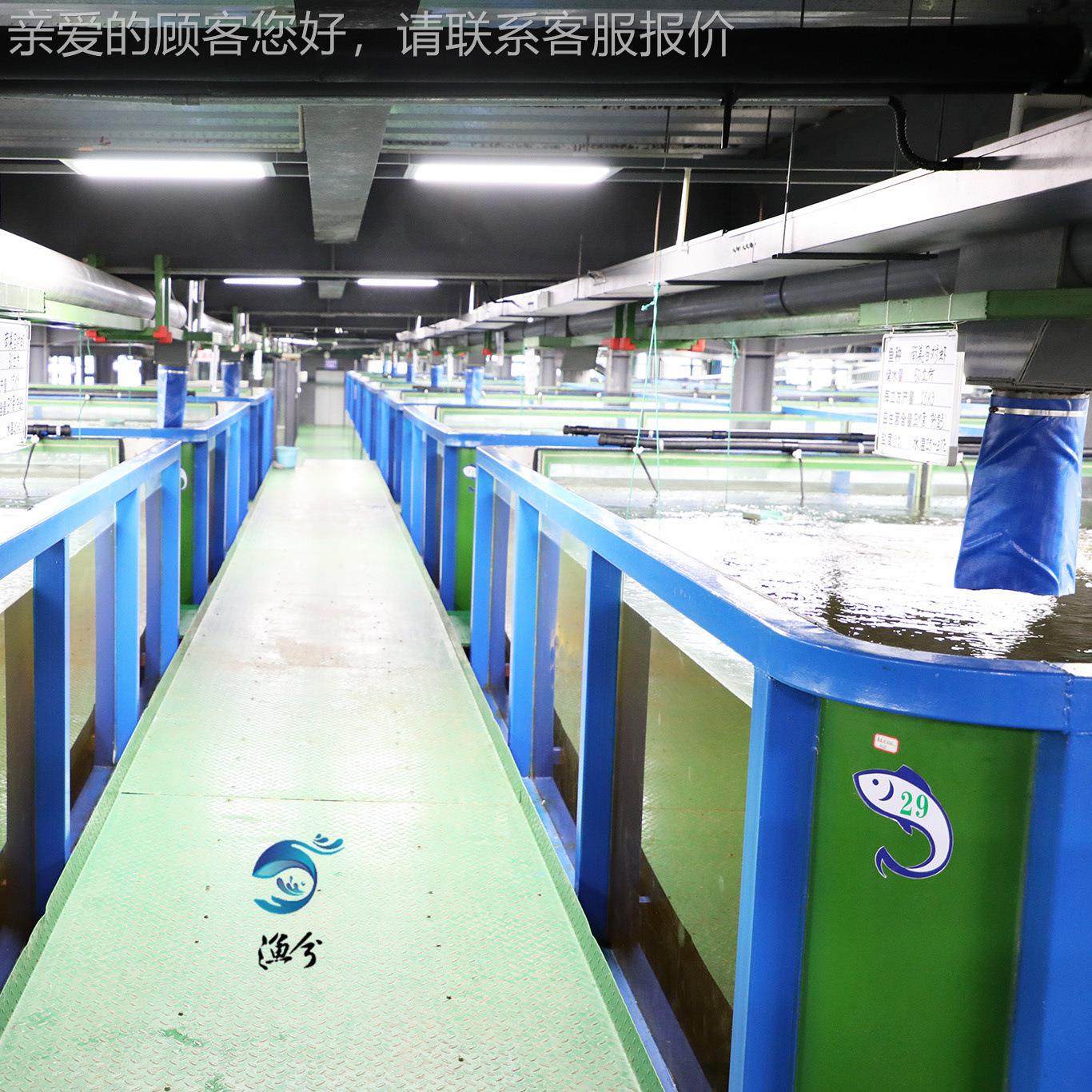 50虾养虾设YX-IAS50备、罗氏沼虾循环水养殖0，室内高密㎡度养系,机械设备,其他机械设备,淘宝优惠券,粉丝福利购,淘宝优惠卷