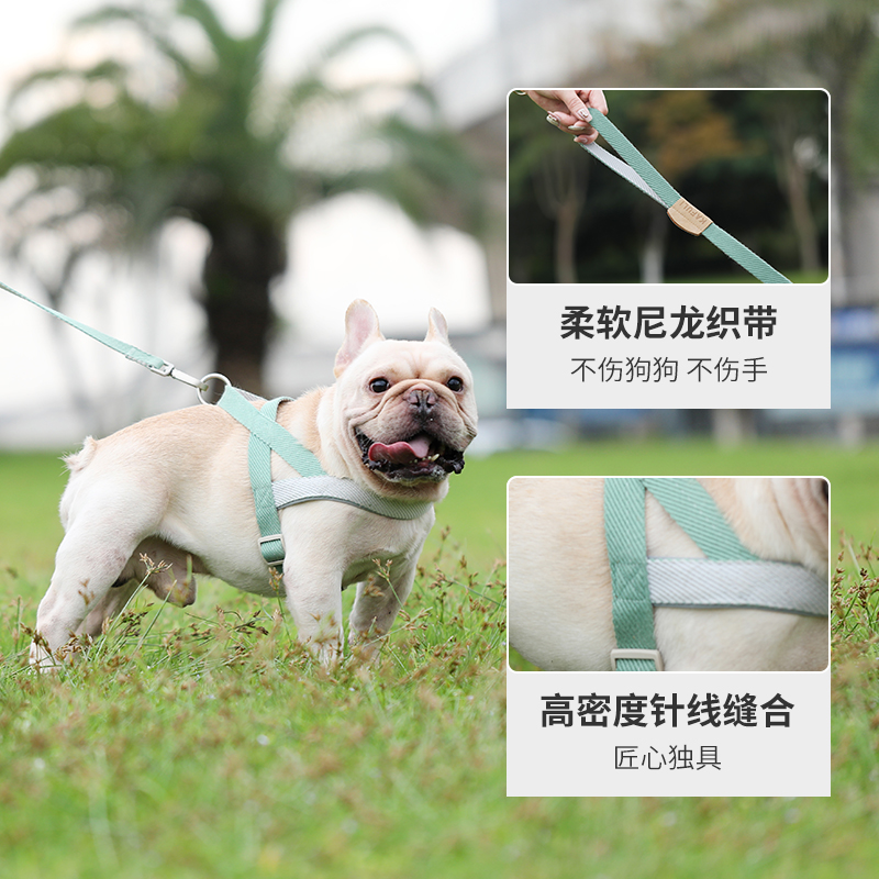 狗狗牵引绳背心式泰迪小型犬比熊博美胸背带小狗幼犬遛狗绳狗链子