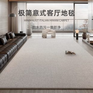 极简2024新款 地毯客厅意式 卧室免洗可擦轻奢高级沙发茶几家用地垫