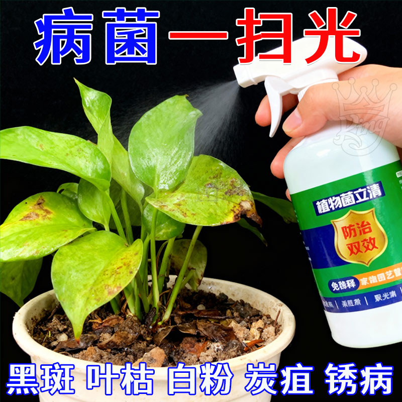 植物菌立清防治病害通用型营养液