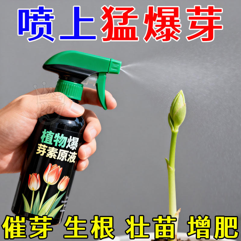 爆芽素原液多肉催芽分化活力素盆栽植物三角梅月季通用生根营养液,鲜花速递/花卉仿真/绿植园艺,家庭园艺肥料,淘宝优惠券,粉丝福利购,淘宝优惠卷