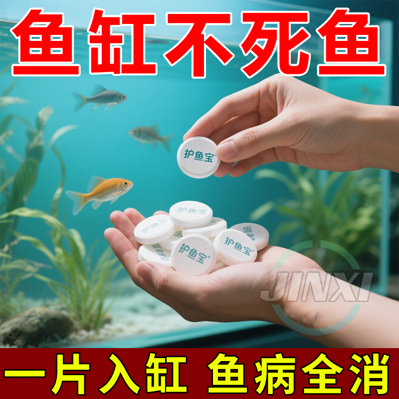 護(hù)魚寶魚病專用藥爛身爛尾白點白毛掉磷蒙眼殺菌消炎康復(fù)消毒藥