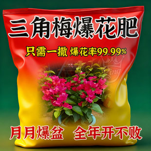 三角梅催花开花粉促芽剂催光杆发芽治黄叶落叶枯萎壮根助生长肥料