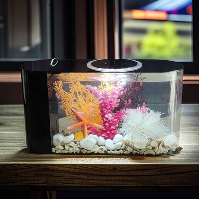 免换水自循环侧过滤鱼缸客厅小型桌面生态家用金鱼缸懒人水族箱
