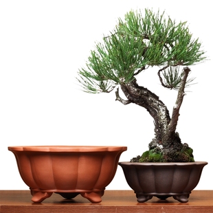 宜兴手工紫砂花盆三脚圆形花瓣家用桌面精品盆景盆透气老桩盆古典