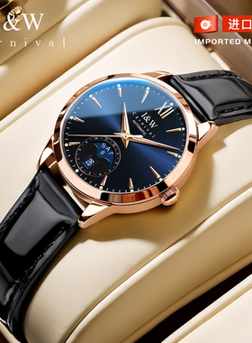 IW爱沃驰手表女士机械表2025新款品牌正品女款轻奢小众表真皮腕表