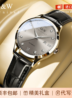 2026新款iw爱沃驰手表女士机械表女品牌正品女款轻奢小众防水腕表