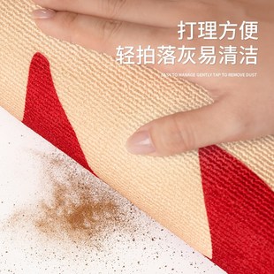 进门门垫门口地毯家用防滑耐脏红色玄关高端脚垫 入户地垫2024新款