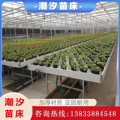 潮汐苗床ABS食品级育苗床温室大棚花卉育苗无土栽培可移动育苗床