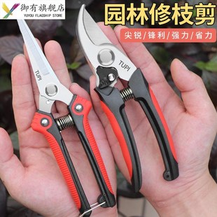新款园艺剪刀修枝剪刀果树修剪刀花艺剪刀剪刀修枝剪树枝专用剪子