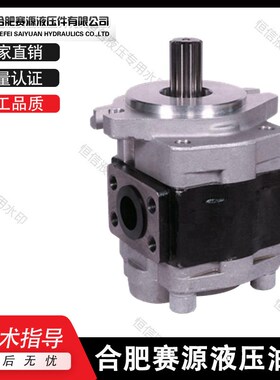 合肥赛源齿轮泵CBHZB-F23/F25/F28.2/F30/F32/F36/F40-ATPR