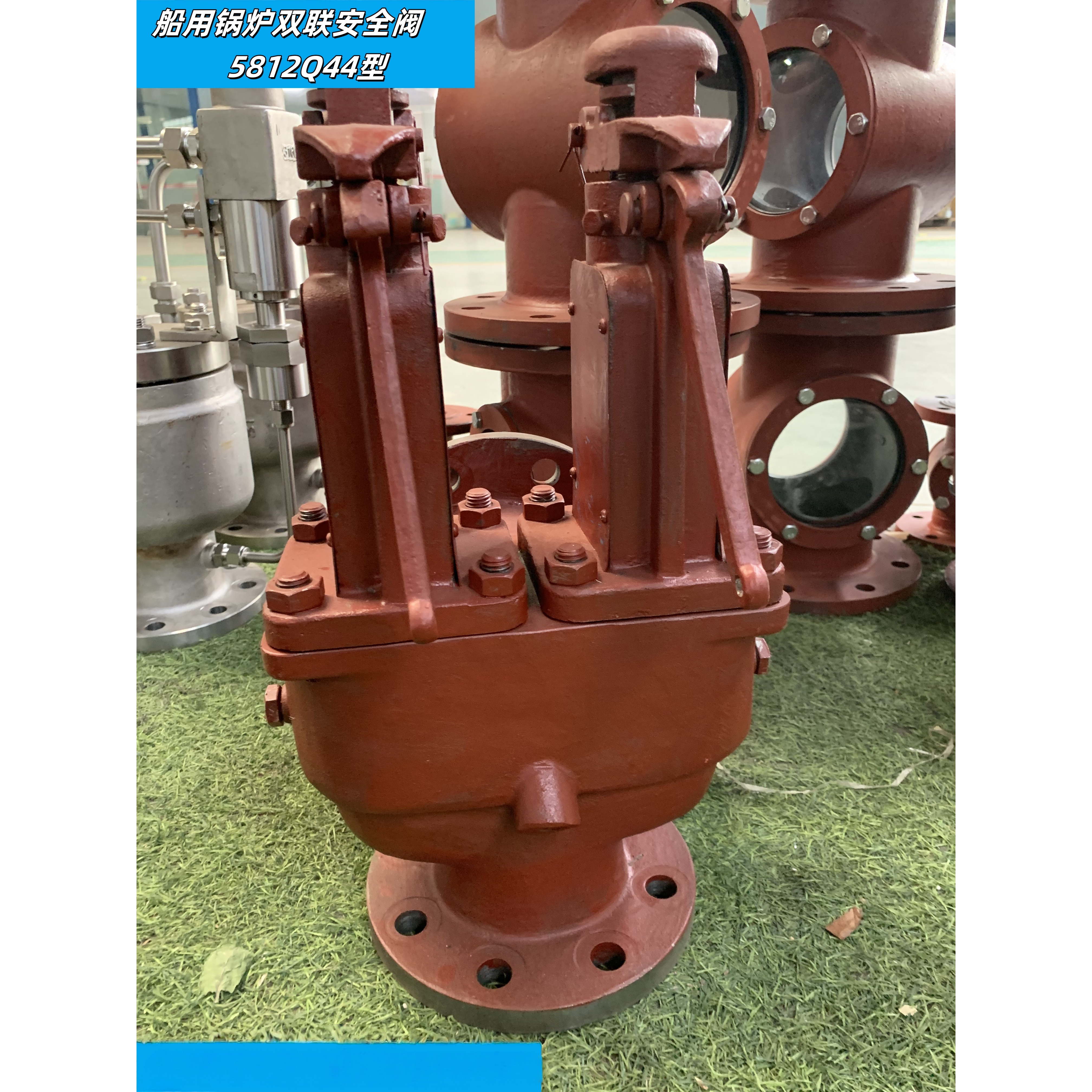 蒸汽双联锅炉安全阀带CCS认证