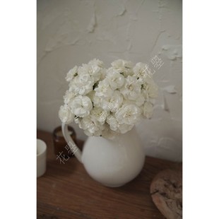 花曌 白色多头康乃馨茉莉康乃馨鲜花水养真花家居瓶插花桌面插花