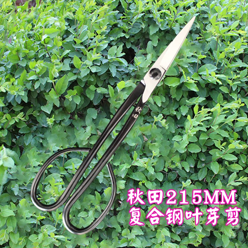 精品秋田叶芽剪盆景造型制作工具细枝嫩芽修剪松针整理兰花分苗