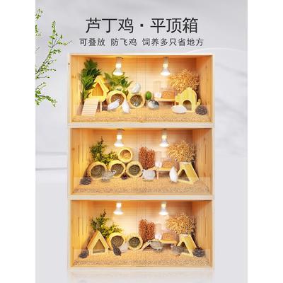 芦丁鸡饲养箱卢丁鸡造景恒温箱小鸡专用保温箱鸡窝笼子幼鸡育雏箱