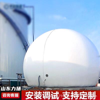 跨境出口双膜气柜干式软体储气柜工业臭气收集设备沼气落地式气柜