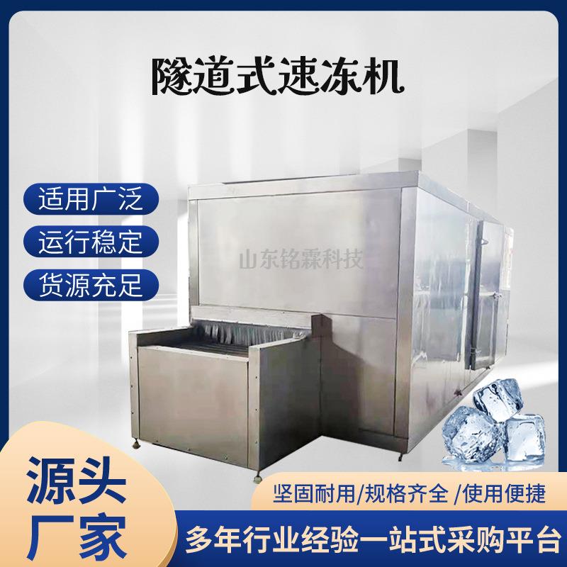 供应大型隧道式速冻机商用全自动水果丁保鲜速冻设备青豆速冻机