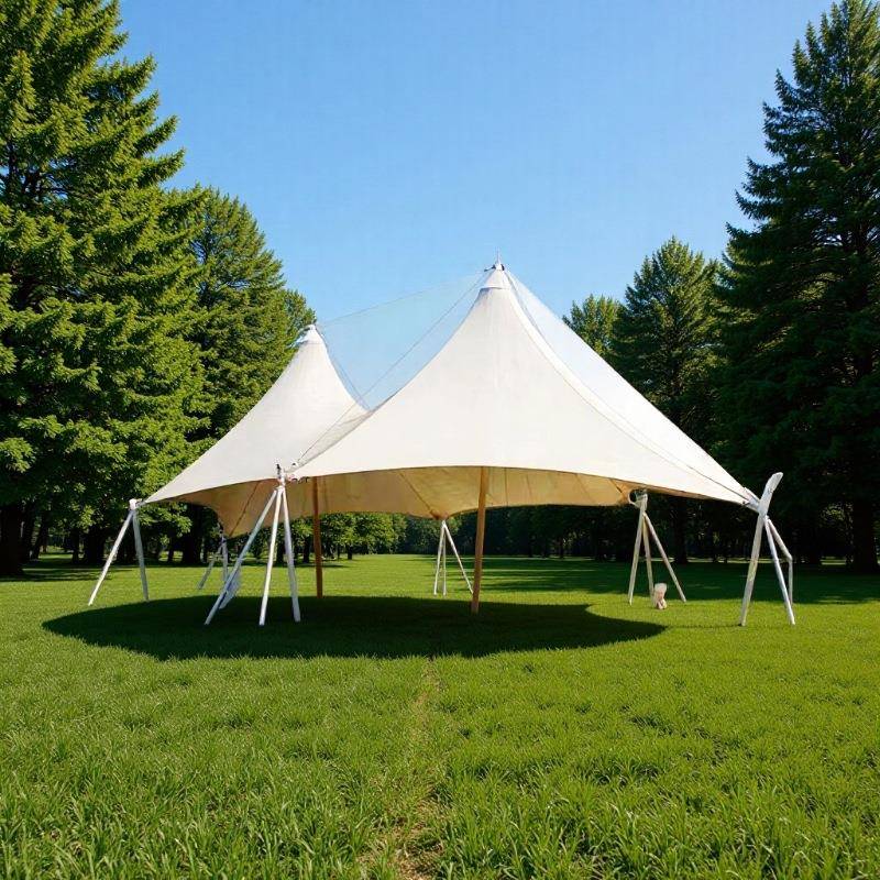 户外景区商业广场异型膜结构景观棚凉亭篷钢结构张拉膜伞遮阳雨棚