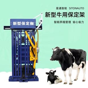 保定架牛用新型加厚加固耐用操作简单使用方便育肥育种厂家直发