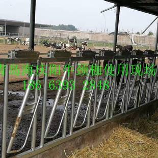 厂家直供低价出售畜牧养殖设备牛颈枷牛脖枷出口品质价格优惠