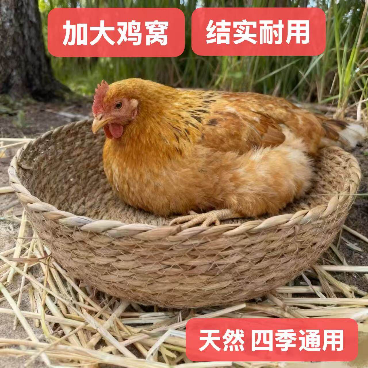【特大】鸡窝大鹅鸭孵蛋老母鸡下蛋窝草窝鸽子鸟窝四季通用