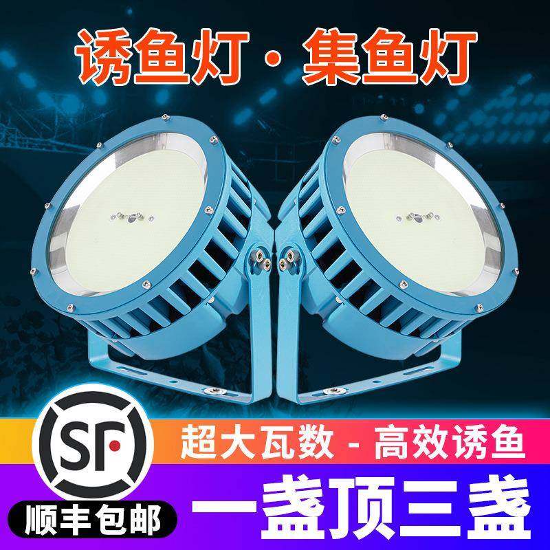 集鱼捕鱼船用钓海钓灯诱鱼夜钓灯引鱼防水LED青光聚鱼220V筏户外