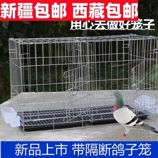 新疆西藏加粗鴿子籠子鴿子用品用具鴿子籠大雞籠家用X鴿子養殖籠