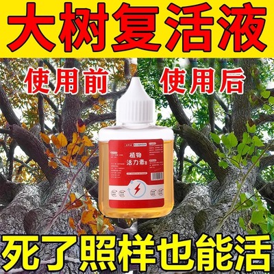 树不活我死】枯树再生液复活营养液提高移栽成活率生长僵苗复活灵