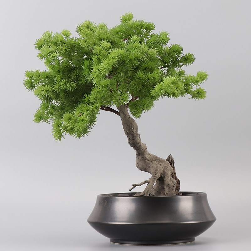 仿真罗汉松树绿植盆景餐桌办公桌书房书桌茶几茶室玄关