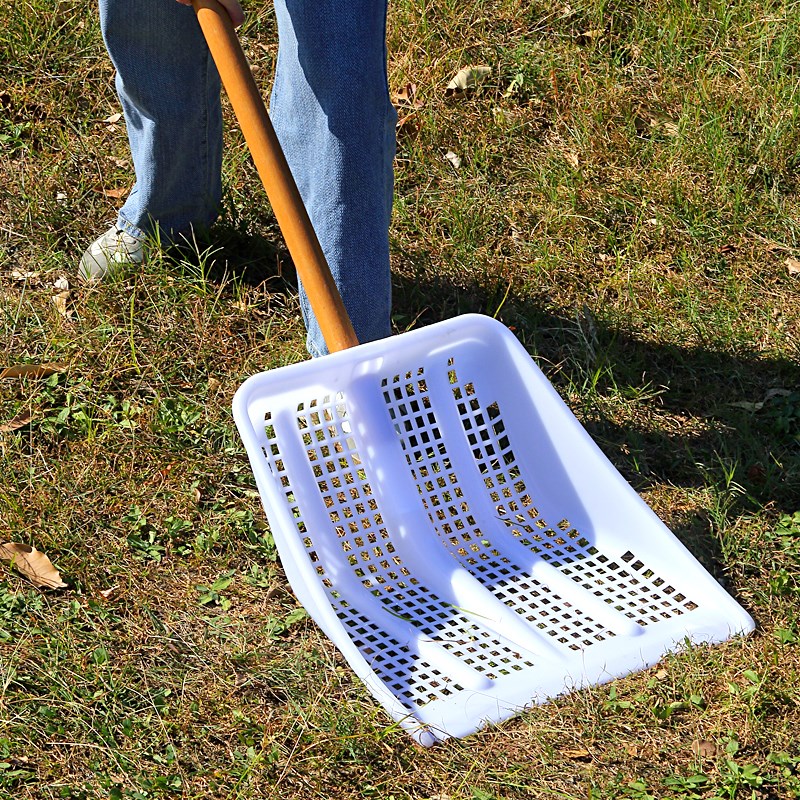 铲海鲜蛤蜊大枣加厚塑料锹网筛土铲大号镂空漏粒带眼锹苞米渔船铲