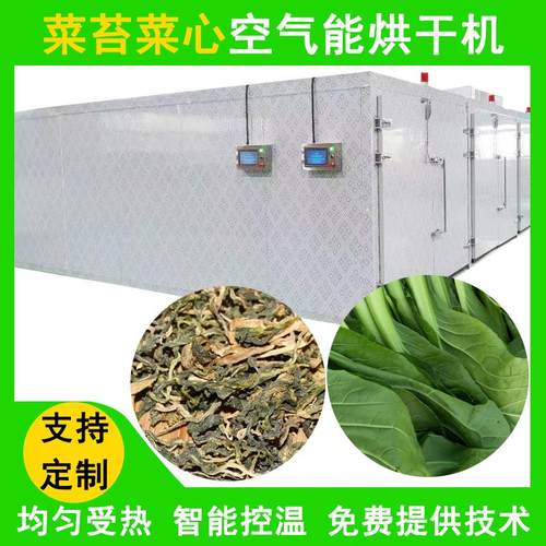空气能菜苔菜心烘干机全自动油菜苔脱水烘干箱大型苔菜烘干设备